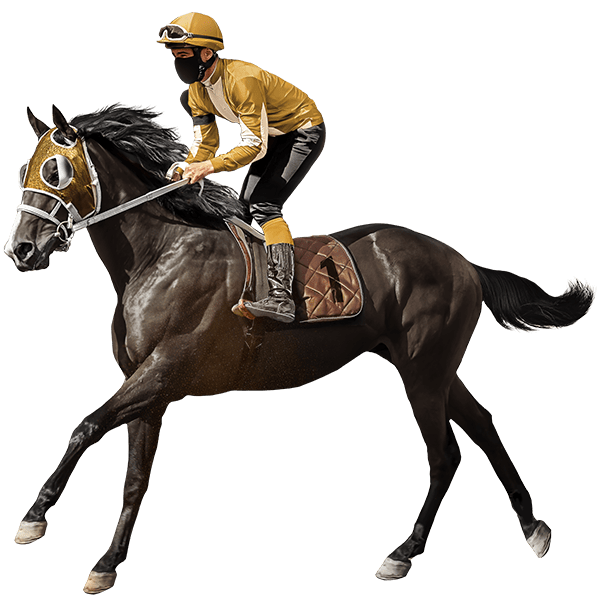 Horse Riding in yellow